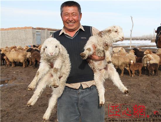 新疆额敏县:接羔育幼让牧民提前增收