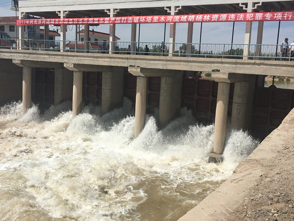 塔里木河流域生态应急补水工作全面启动
