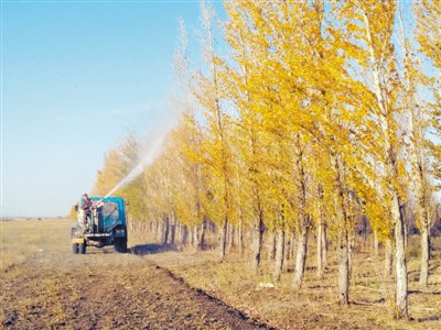 20多年治理，新疆风雪灾害区变新绿洲
