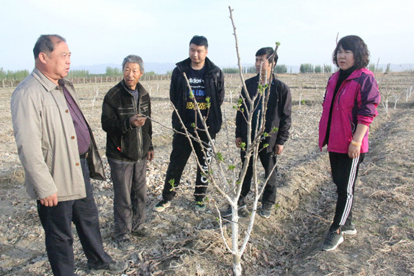 新疆博湖县驻村工作队“一户一策”精准发力助贫困