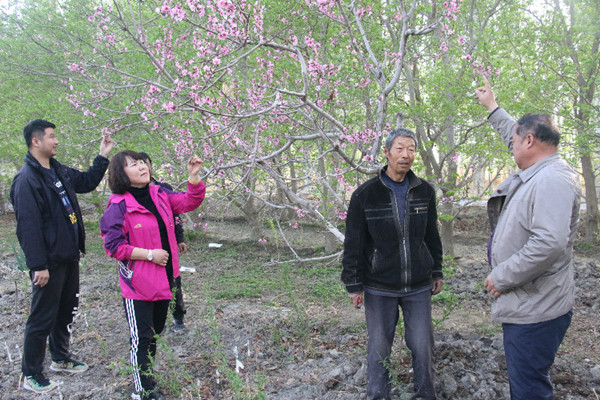 新疆博湖县驻村工作队“一户一策”精准发力助贫困