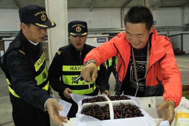 今年首批“洋水果”只用25分钟就从乌鲁木齐国际机场口岸入境
