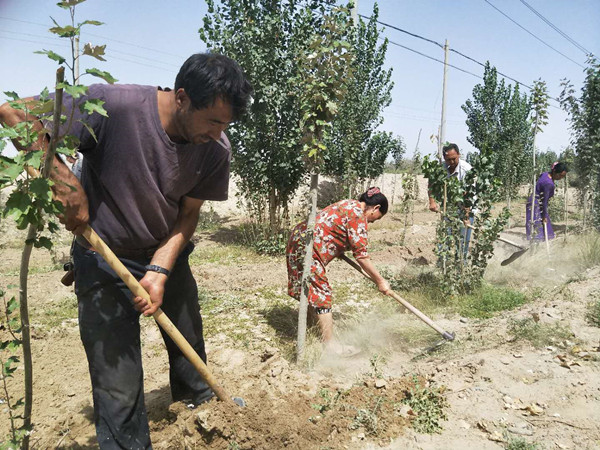 新疆洛浦县山普鲁镇开展环境卫生综合整治活动