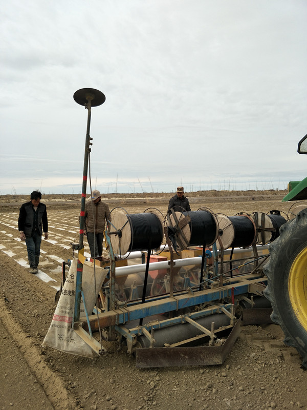 新疆兵团：“六项精准”技术提升农业现代化水平