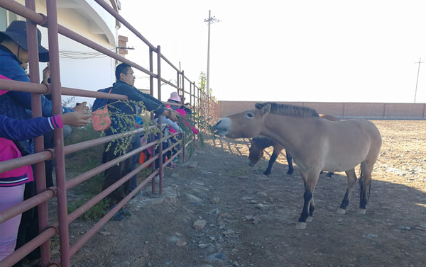 科普游子考察队到新疆野马繁殖研究中心进行科普考察