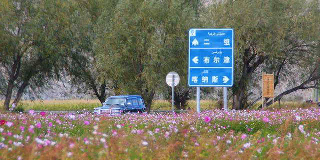 新疆布尔津县大力发展“庭院经济”：美了农家小院 鼓了村民腰包